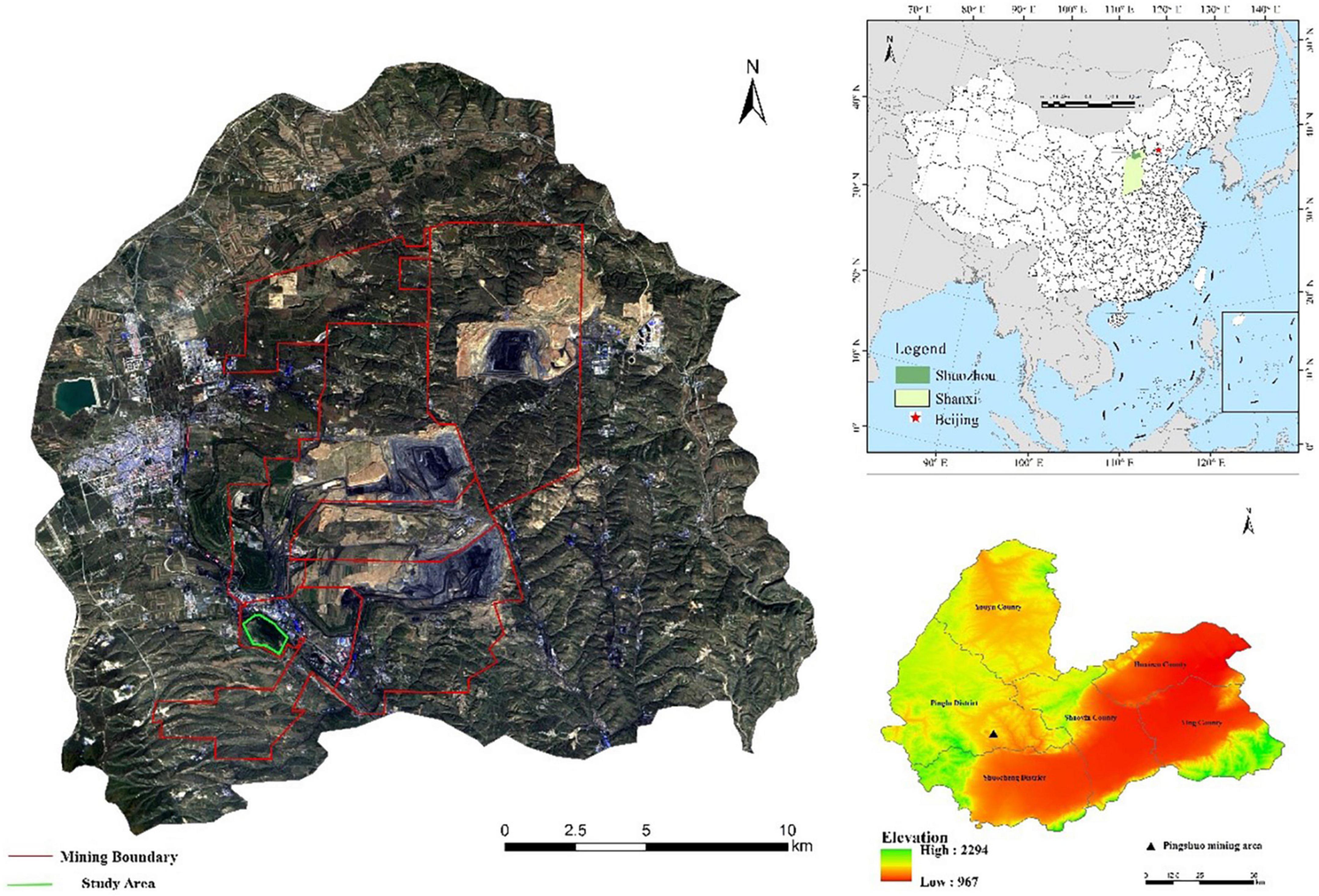 Synergistic effects aided the growth of black locust in reclaimed areas of semi-arid open-pit coal mines
